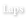 Laps